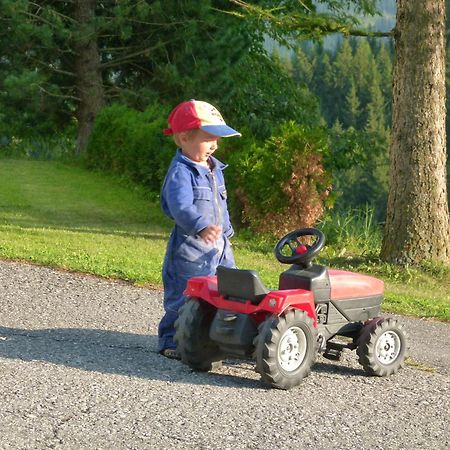 Ferienwohnungen Bachergut Mariapfarr Kamer foto