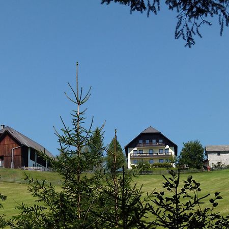 Ferienwohnungen Bachergut Mariapfarr Kamer foto