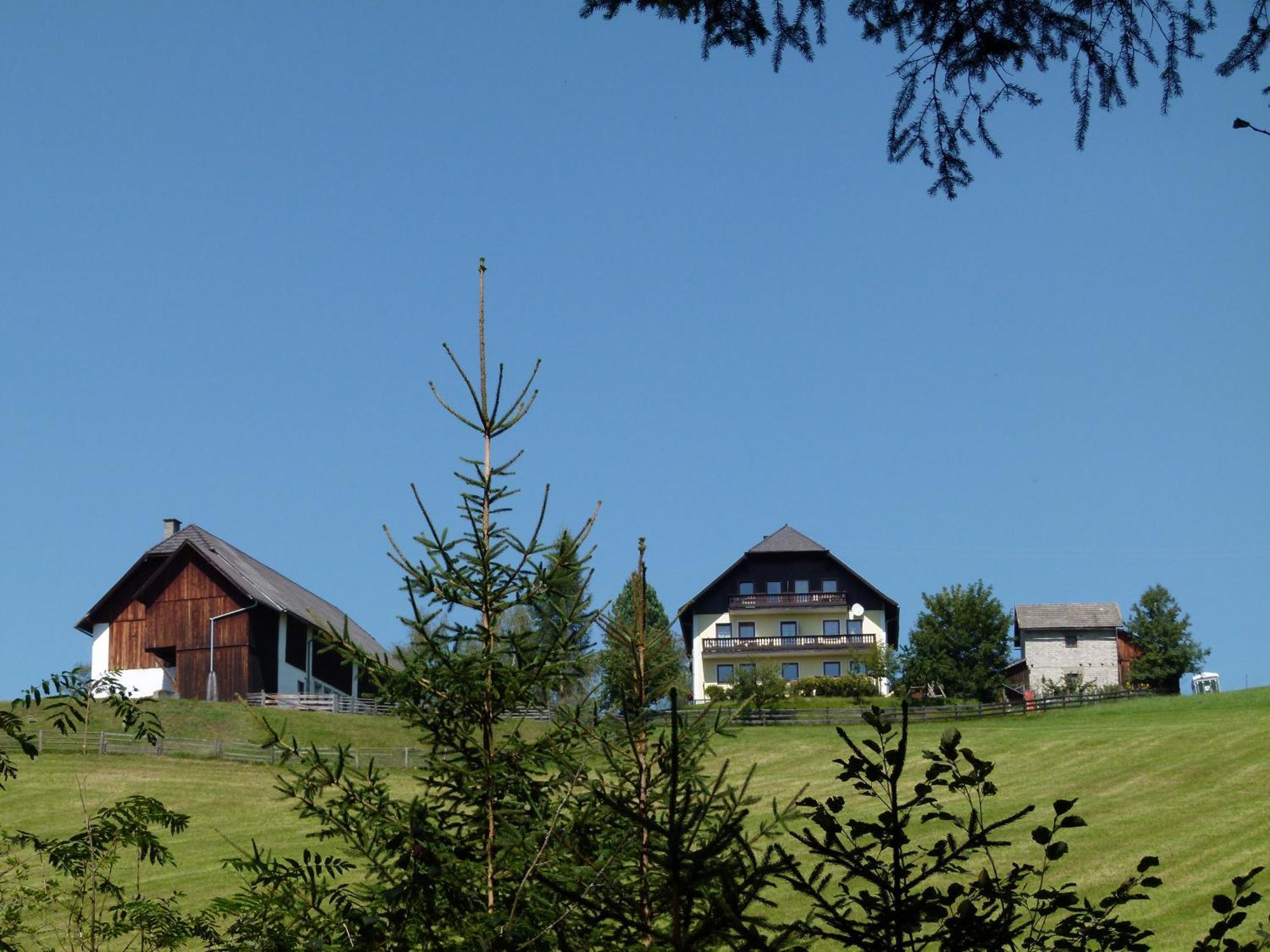 Ferienwohnungen Bachergut Mariapfarr Kamer foto