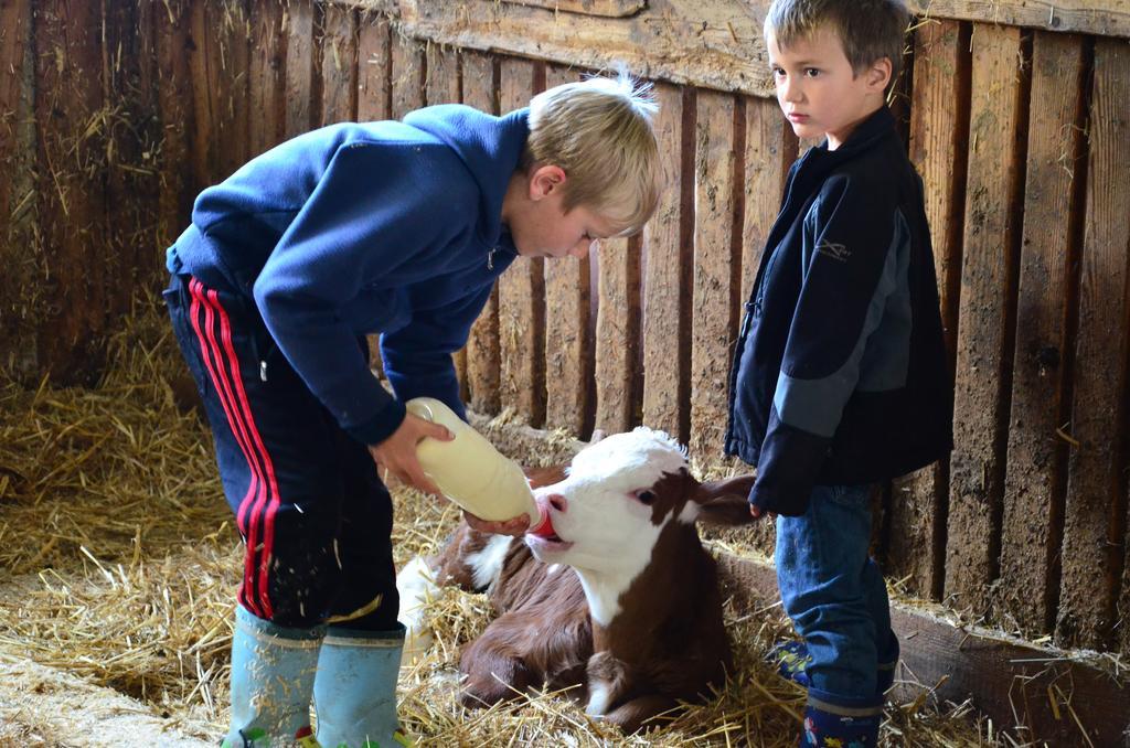 Ferienwohnungen Bachergut Mariapfarr Kamer foto