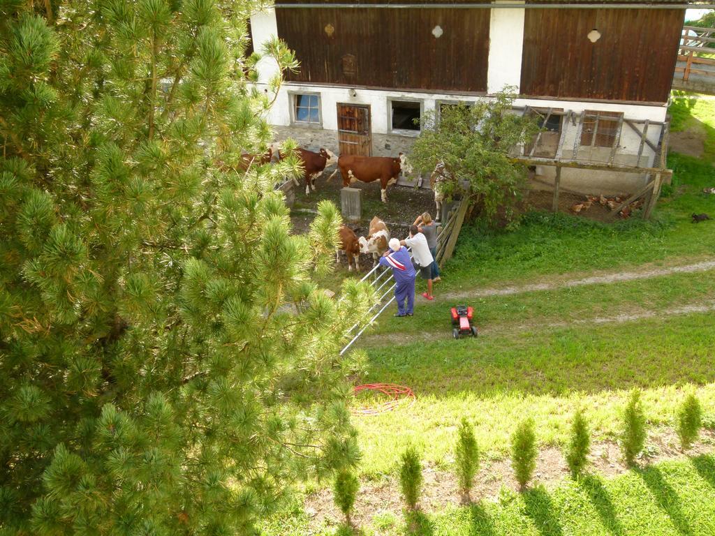Ferienwohnungen Bachergut Mariapfarr Kamer foto